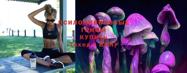 PSILOCYBIN Богородицк